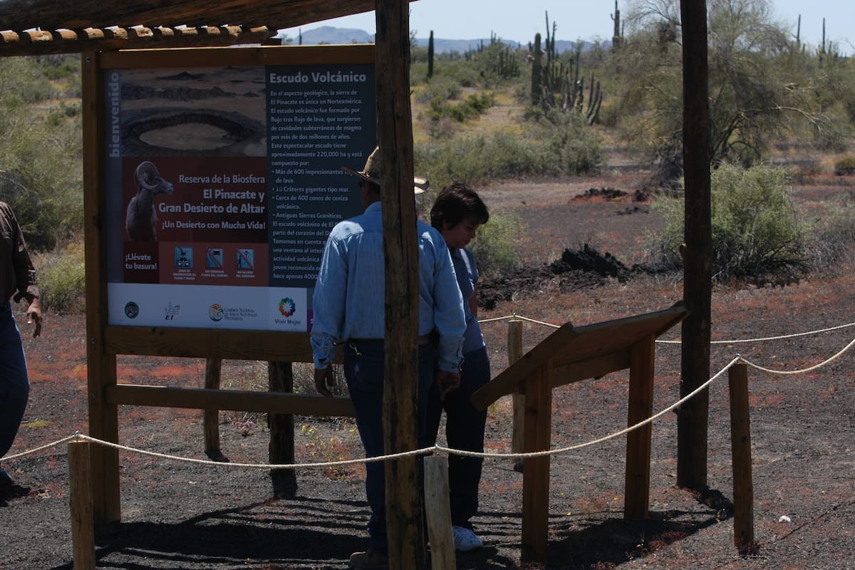 Tours guiados dejarán derrama superior a 600 millones de pesos en Sonora durante 2025