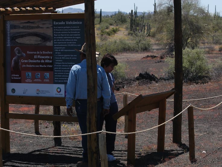 Tours guiados dejarán derrama superior a 600 millones de pesos en Sonora durante 2025