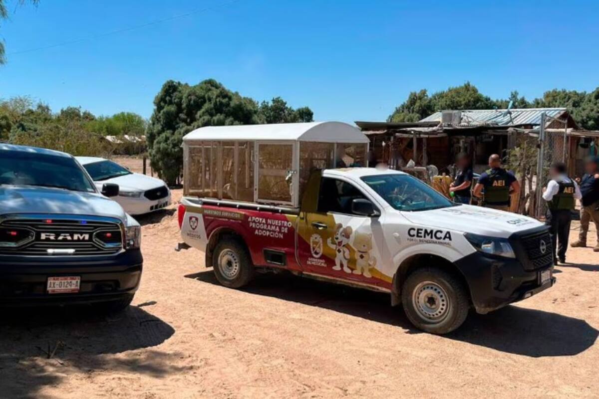 Sigue investigación por caso de zoofilia