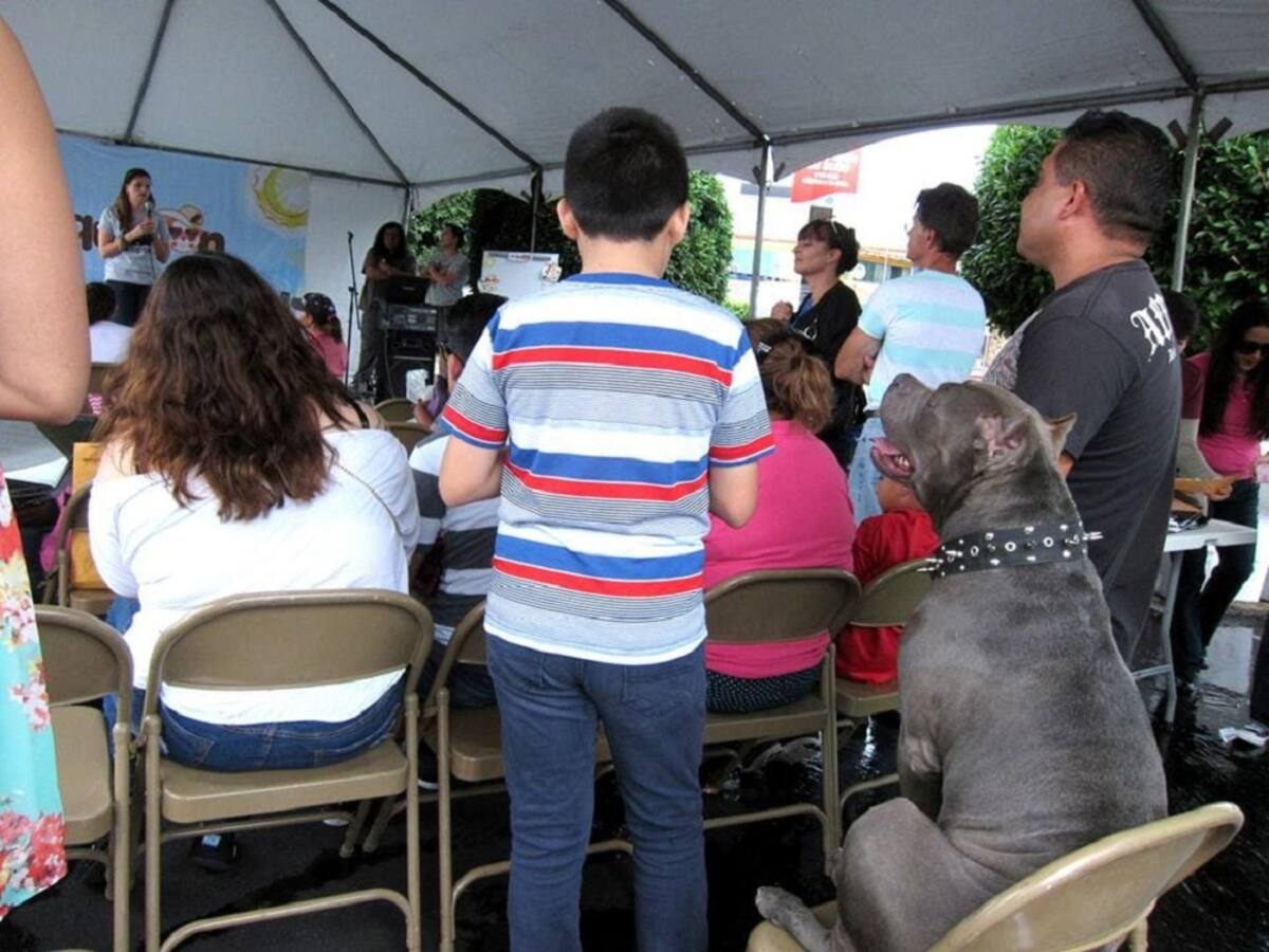 El programa del Croquetón incluye pláticas, un concurso de disfraces de mascotas y además se contará con un módulo de adopción.