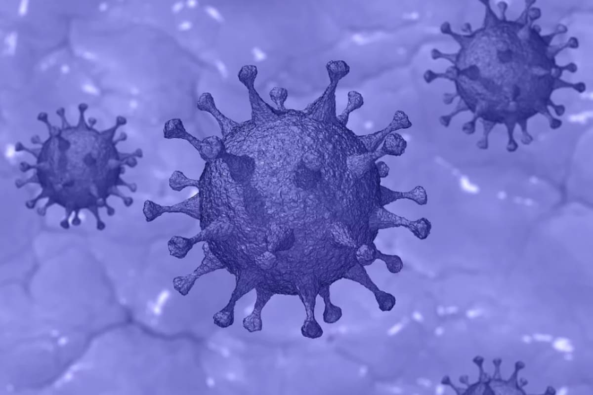 "No he salido de mi casa": Paciente con coronavirus en Guerrero relata su historia