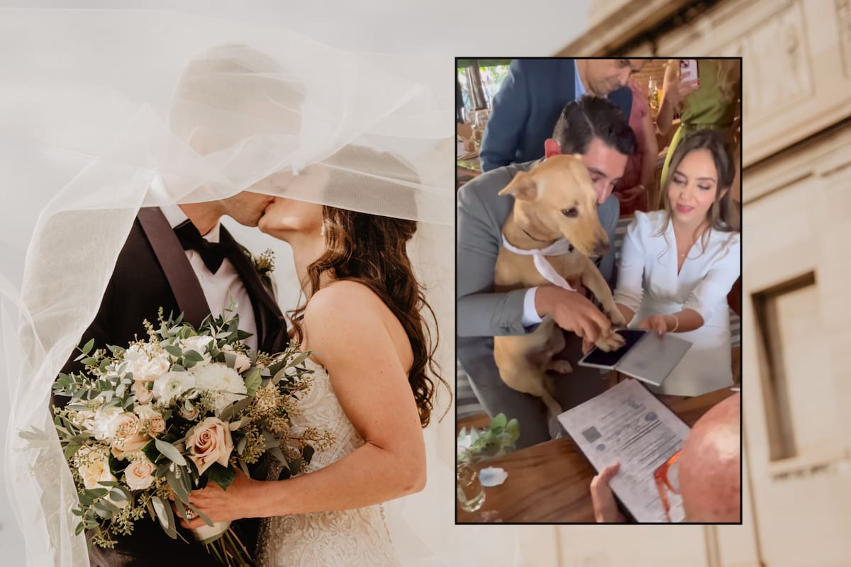 Perrito se vuelve viral al ‘firmar’ como testigo en la boda civil de sus dueños