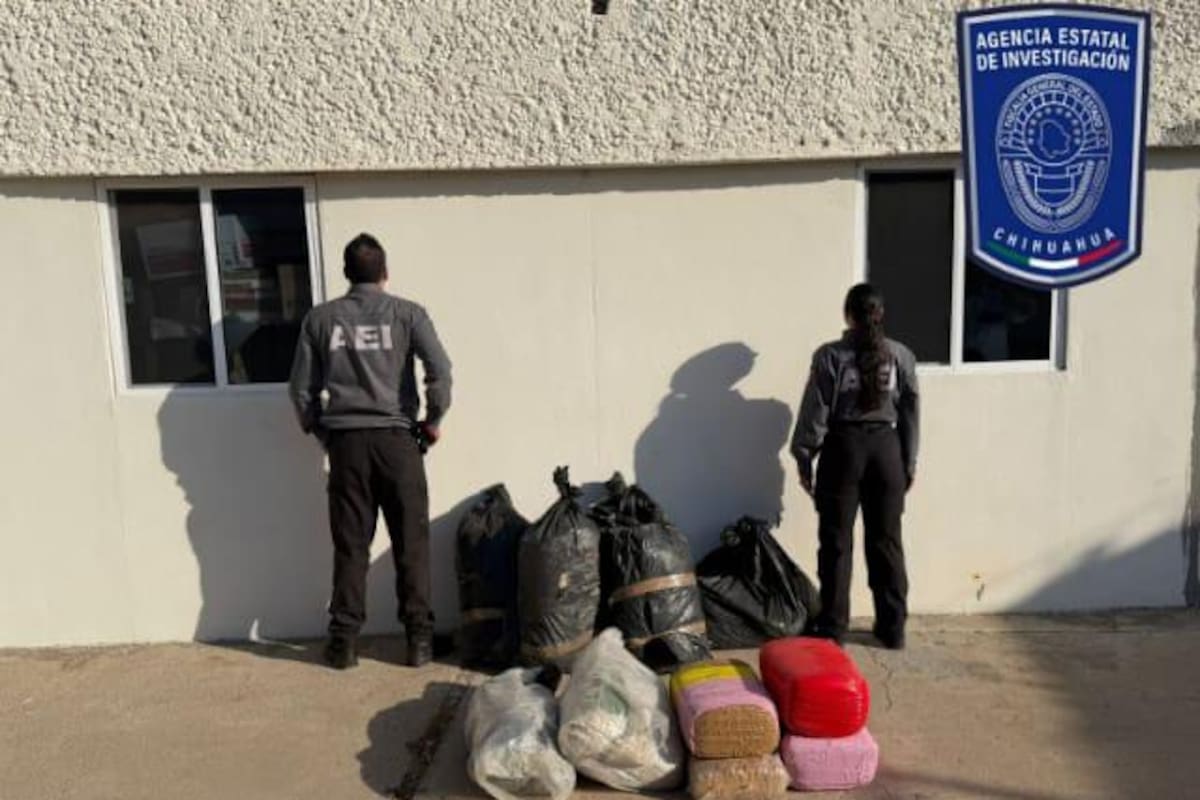Asegura más de 70 kilogramos de marihuana en operativo contra el narcomenudeo en Hidalgo del Parral, Chihuahua