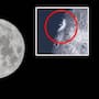 Así la luna recibió el impacto de un fragmento de un cohete de Space X, pese a que el director de la NASA lo normalizara