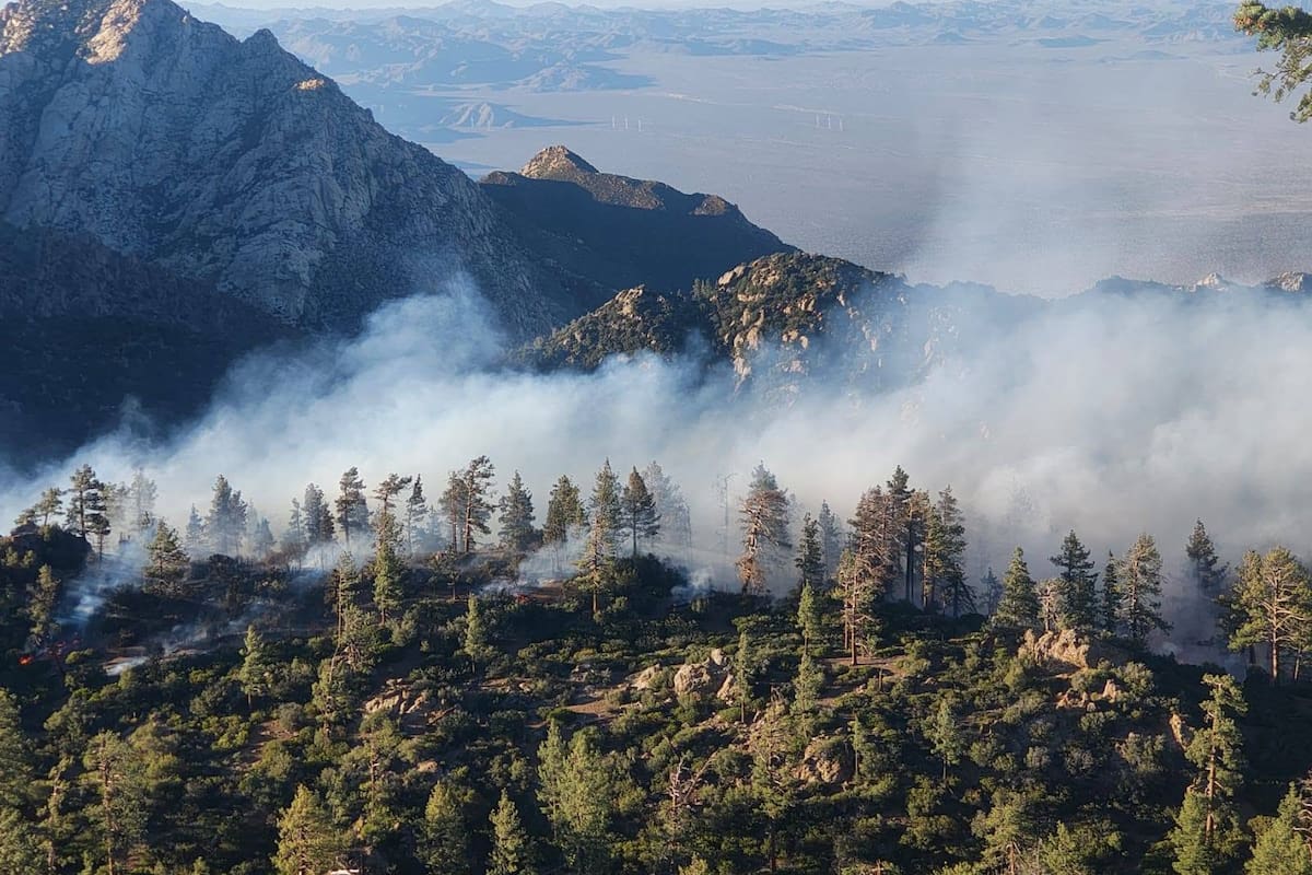 Incendio forestal activo en zona serrana de Ensenada afecta 15 hectáreas