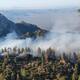 Incendio forestal activo en zona serrana de Ensenada afecta 15 hectáreas