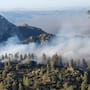 Incendio forestal activo en zona serrana de Ensenada afecta 15 hectáreas