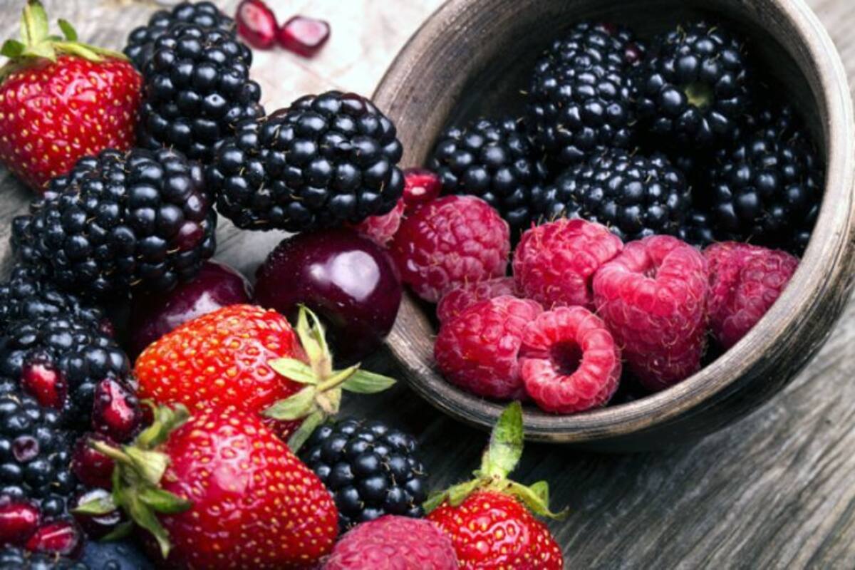 Producción de berries generó derrama de 11 mil 200 mdp