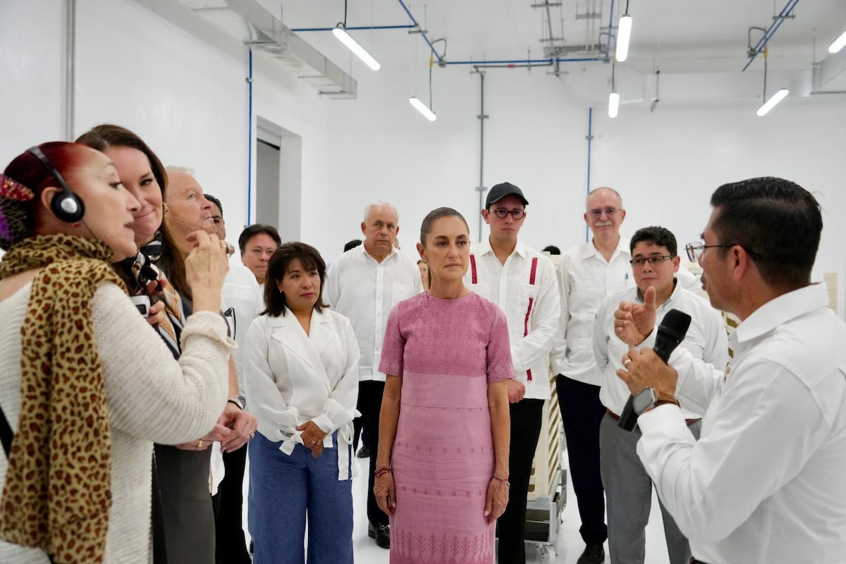 Alista Gobierno nueva liberación de moscas contra barrenador