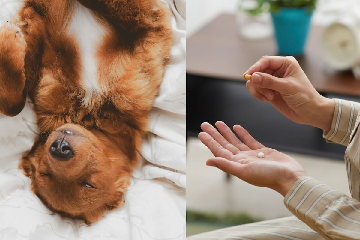 Magnesio glicinato: ¿la nueva ayuda natural para dormir mejor?