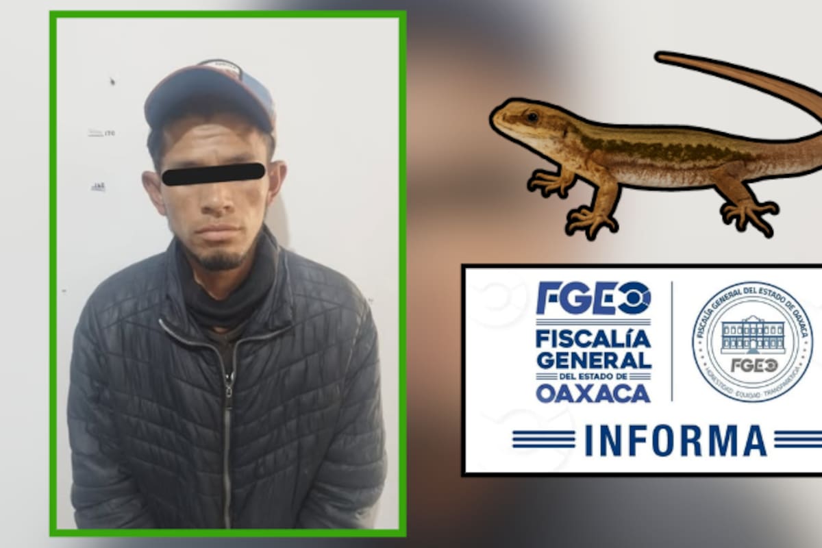 Cae “El Lagartijo” en Oaxaca: portaba arma hechiza, cristal y cámara robada en zona vigilada por la Fiscalía