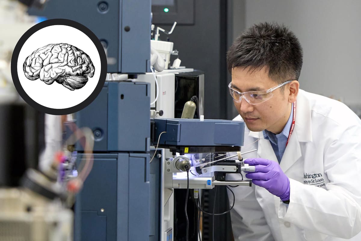 Los expertos coinciden en que se necesita más investigación para entender los mecanismos y desarrollar estrategias accesibles para toda la población.