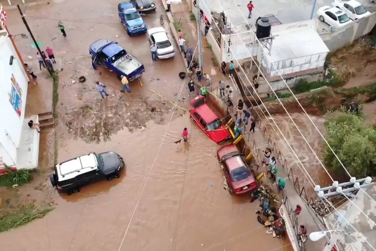 Lluvia derriba árboles y arrastra autos en Nogales