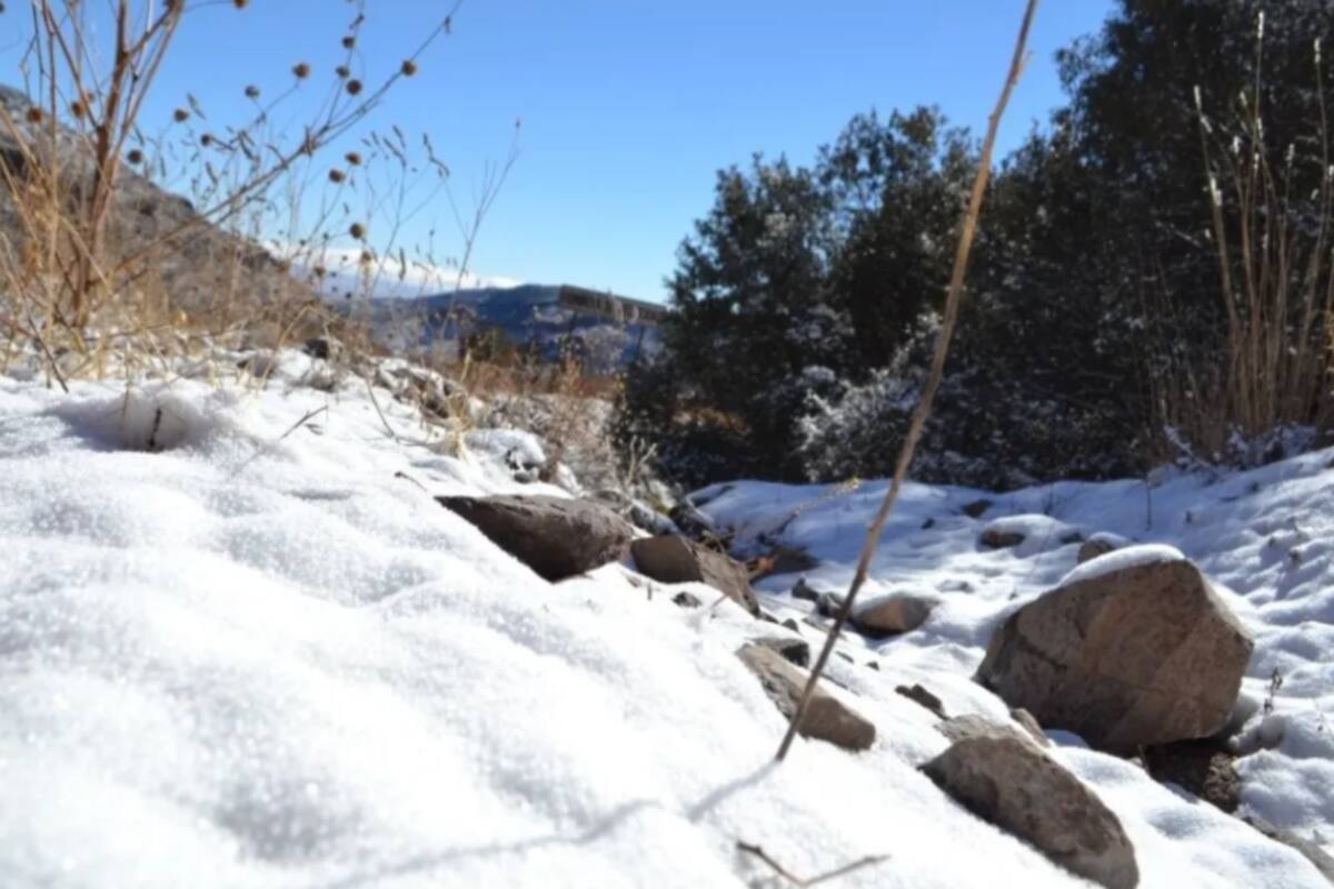 Frente frío 9 provocará lluvias intensas en Estados del Sur del País y caída de nieve en zonas montañosas