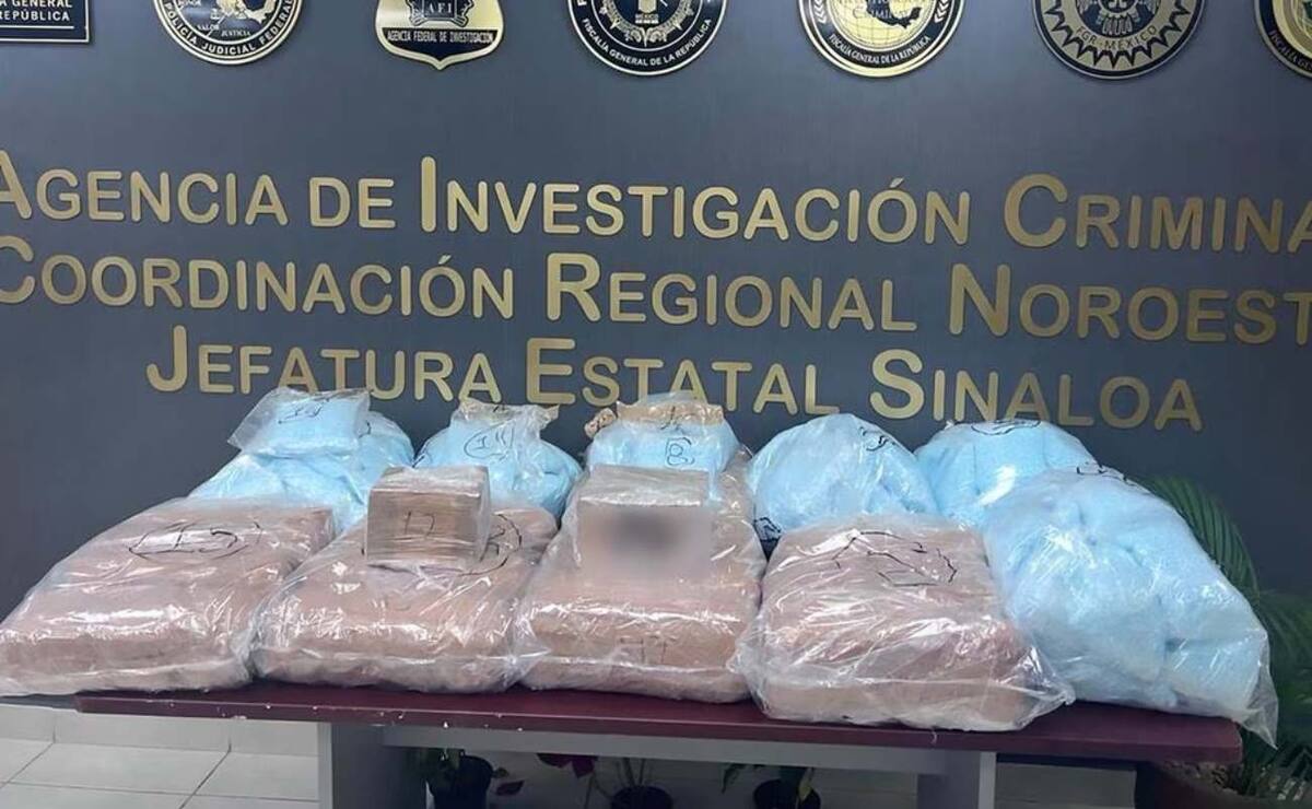 Hallan fentanilo y cocaína en paneles de abejas en Los Mochis-Sinaloa. // Foto: Especial/El Universal