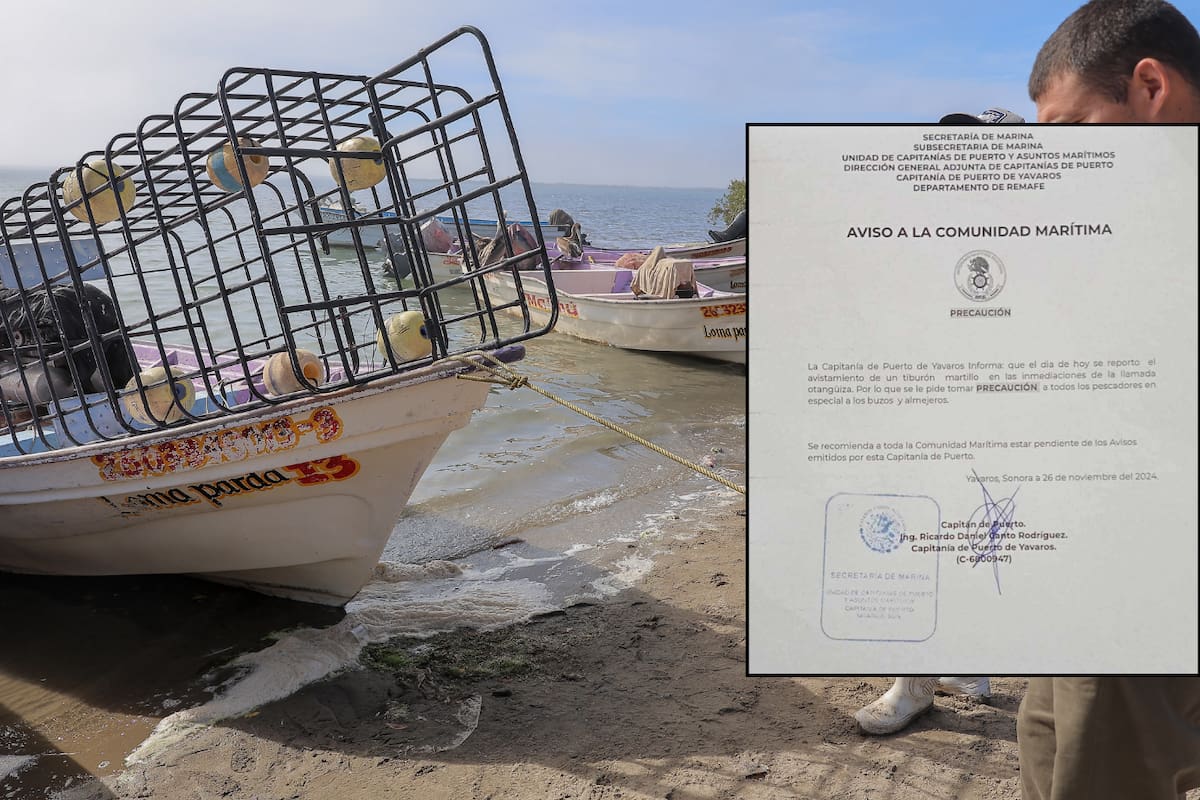 Alerta Capitanía de Puerto a pescadores y buzos por avistamiento de tiburón en Yavaros