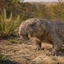 El extraño animal que sobrevivió a una extinción devastadora y cuyos huevos revelaron su secreto 250 millones de años después