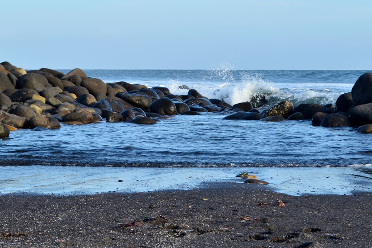 Establecen lineamientos para conservar el Parque Estatal Arroyo San Miguel