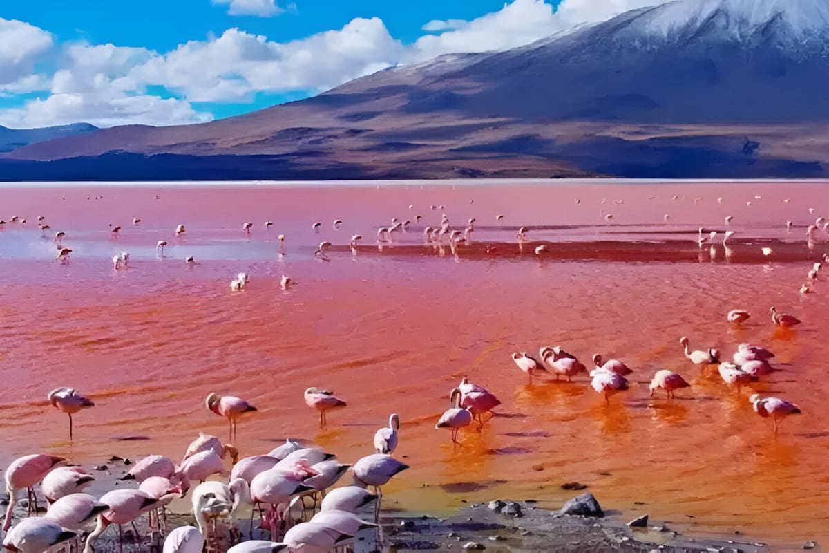 El misterioso caso de los cuerpos rojos del Lago Natron