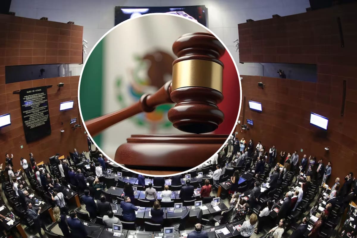 Renuncia primer juez electo tras reforma judicial ante el Senado de la República; esto se reporta