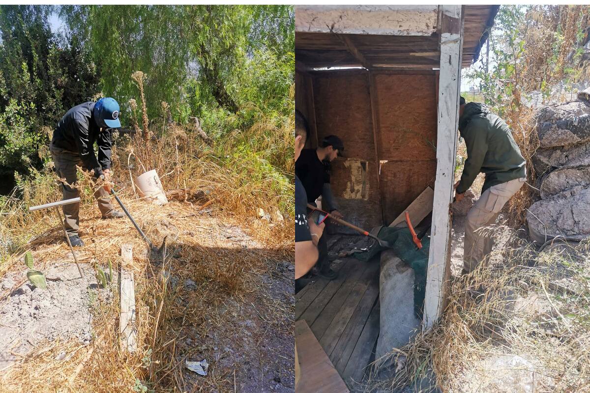 Localizan osamenta durante operativo de cateo en Tijuana