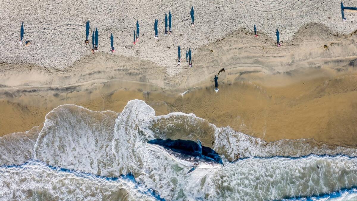 Foto: Border Zoom
