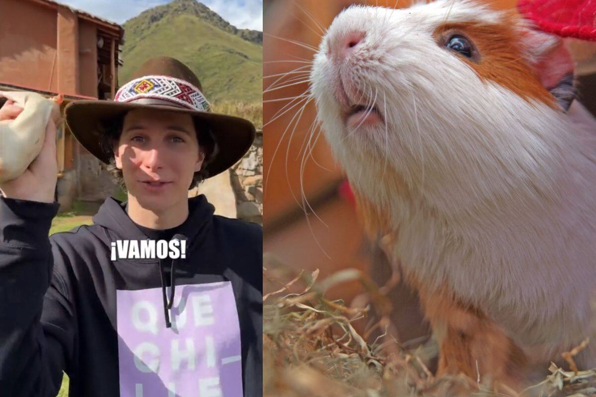 “Un ídolo caído”: Tunden a famoso influencer de Sonora por cocinar cuy en VIDEO