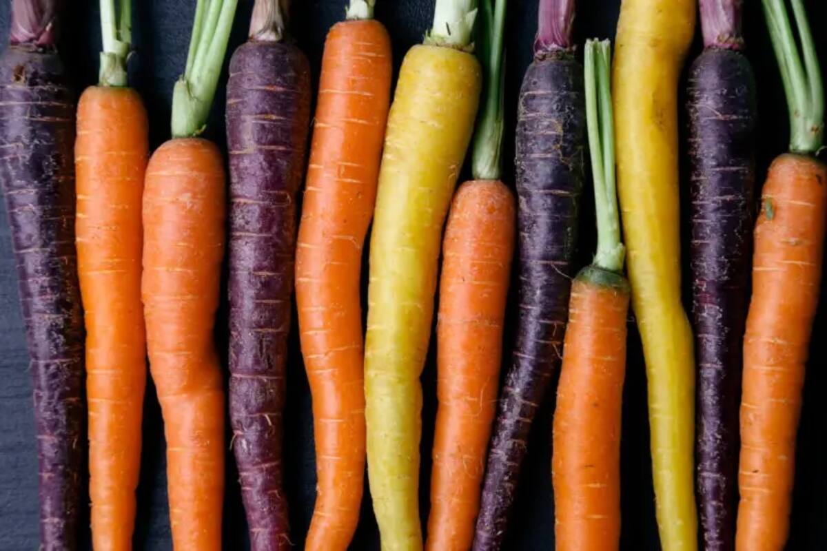 Descubre por qué las zanahorias no siempre tuvieron su característico color naranja
