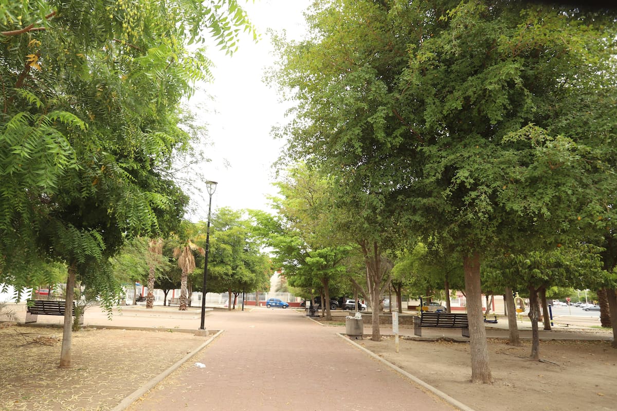Vecinos de la Modelo piden mejor atención al parque Tutuli