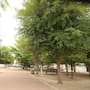 Vecinos de la Modelo piden mejor atención al parque Tutuli