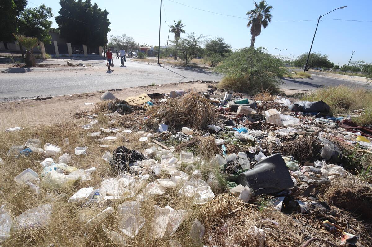 Así como en este lote baldío ubicado por el bulevar Santa Inés, en Villa Verde, en Pueblitos, muchos lotes abandonados en la ciudad son utilizados para tirar desperdicios.