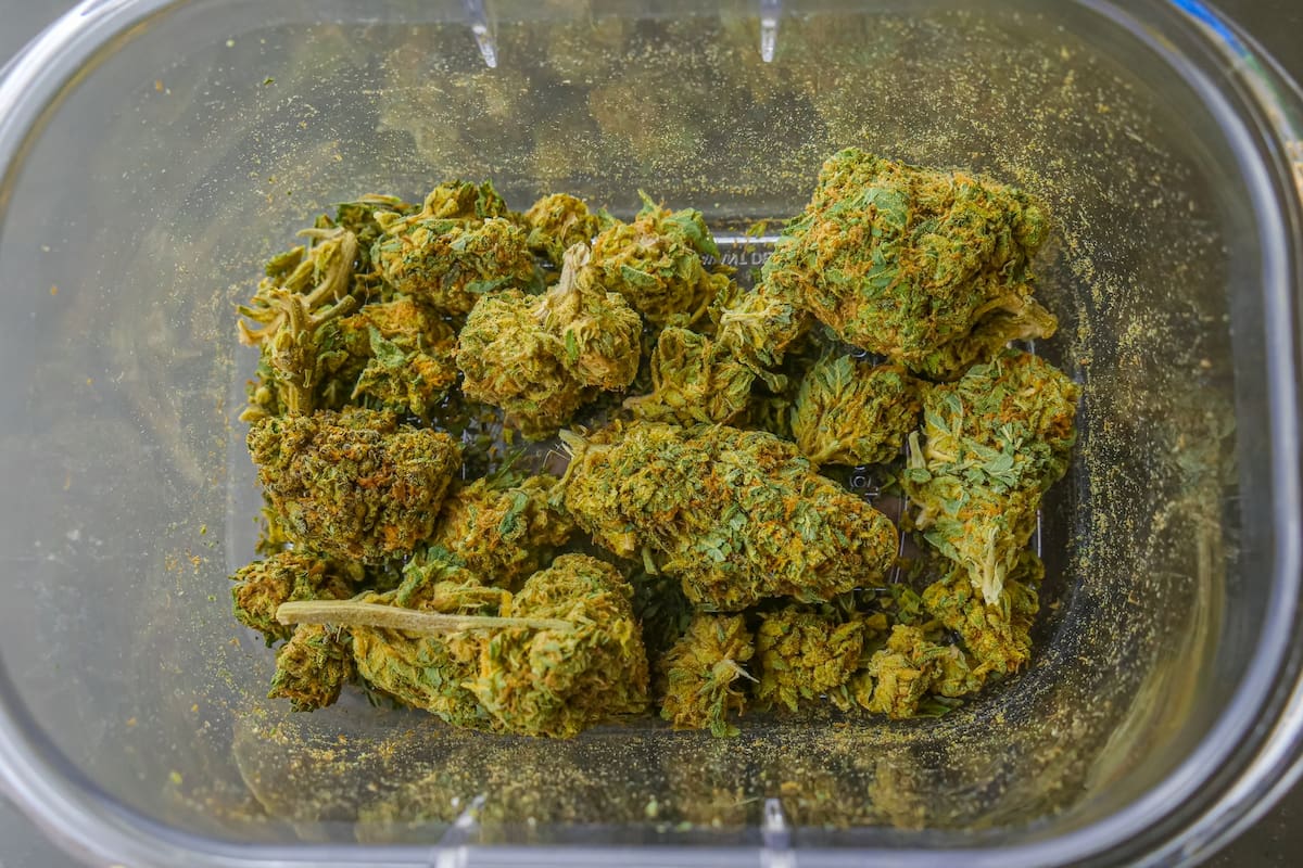 Trump estudia reclasificar la marihuana como droga menos peligrosa