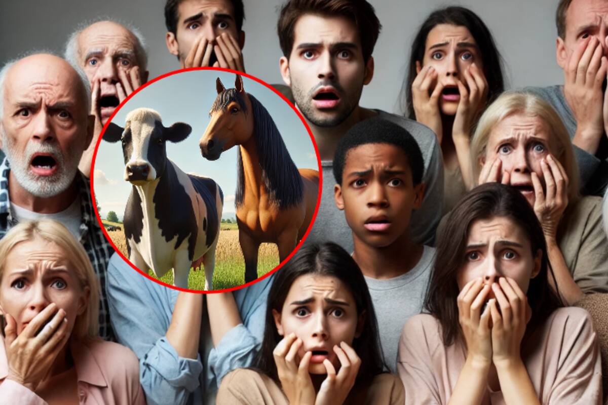 Una cabeza de caballo y una vaca preñada: la cruel amenaza mafiosa en Sicilia