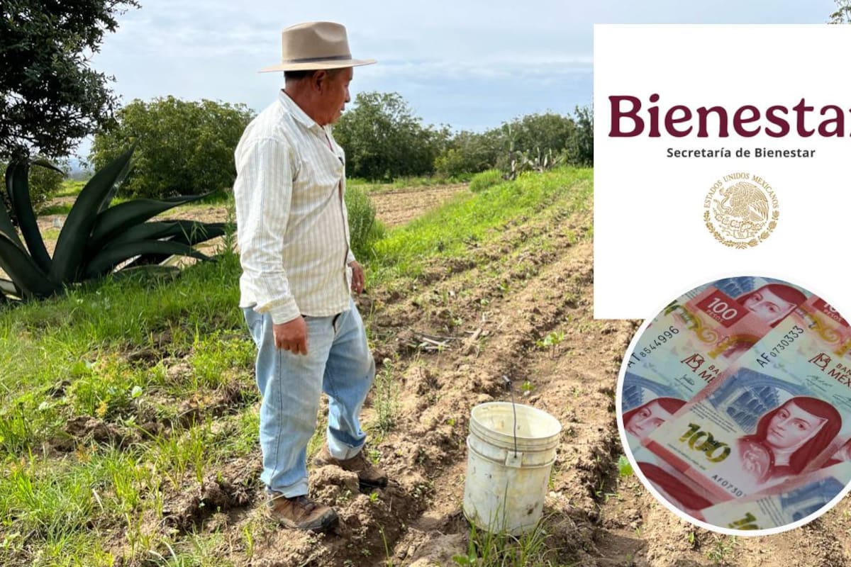 Producción para el Bienestar sube apoyo mínimo a 7,300 pesos en 2026 y confirma pagos desde el 30 de abril para productores con depósito en Banco del Bienestar
