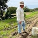 Producción para el Bienestar sube apoyo mínimo a 7,300 pesos en 2026 y confirma pagos desde el 30 de abril para productores con depósito en Banco del Bienestar