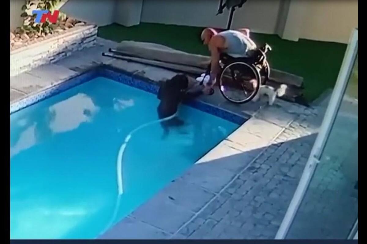 TIKTOK VIDEO: Hombre en silla de ruedas salva a su perrito después de caer a una alberca