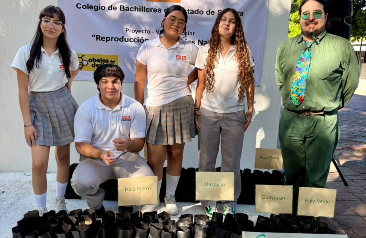 El proyecto del Cobach involucra a estudiantes y docentes de planteles en la producción de palo fierro, mezquite, guayacán y palo verde. | Crédito: Cobach Sonora