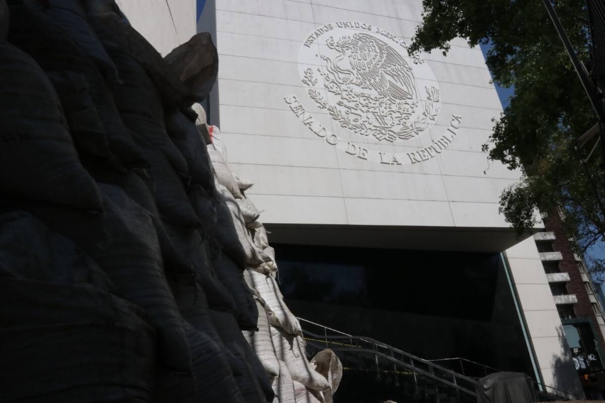 Remodelación del Senado fue solicitada tras detectar "vicios ocultos"