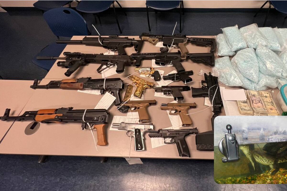 Hallan en cateo un cocodrilo, armas, drogas y dinero en Phoenix, Arizona