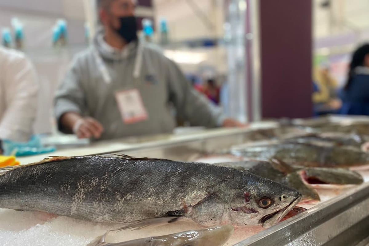 Secretaría de Salud recomienda extremar cuidados en consumo de pescados y mariscos