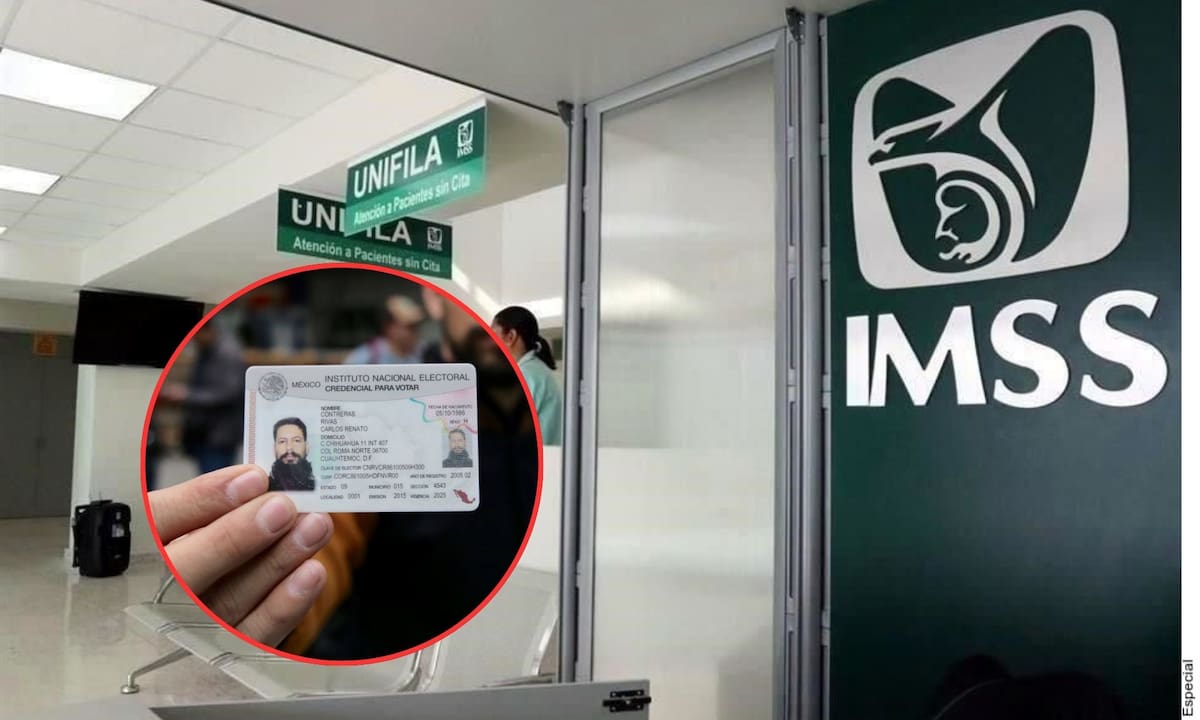 Trámites del IMSS que aún puedes realizar con INE y CURP tradicional ante la llegada del nuevo registro biométrico obligatorio | Archivo GH