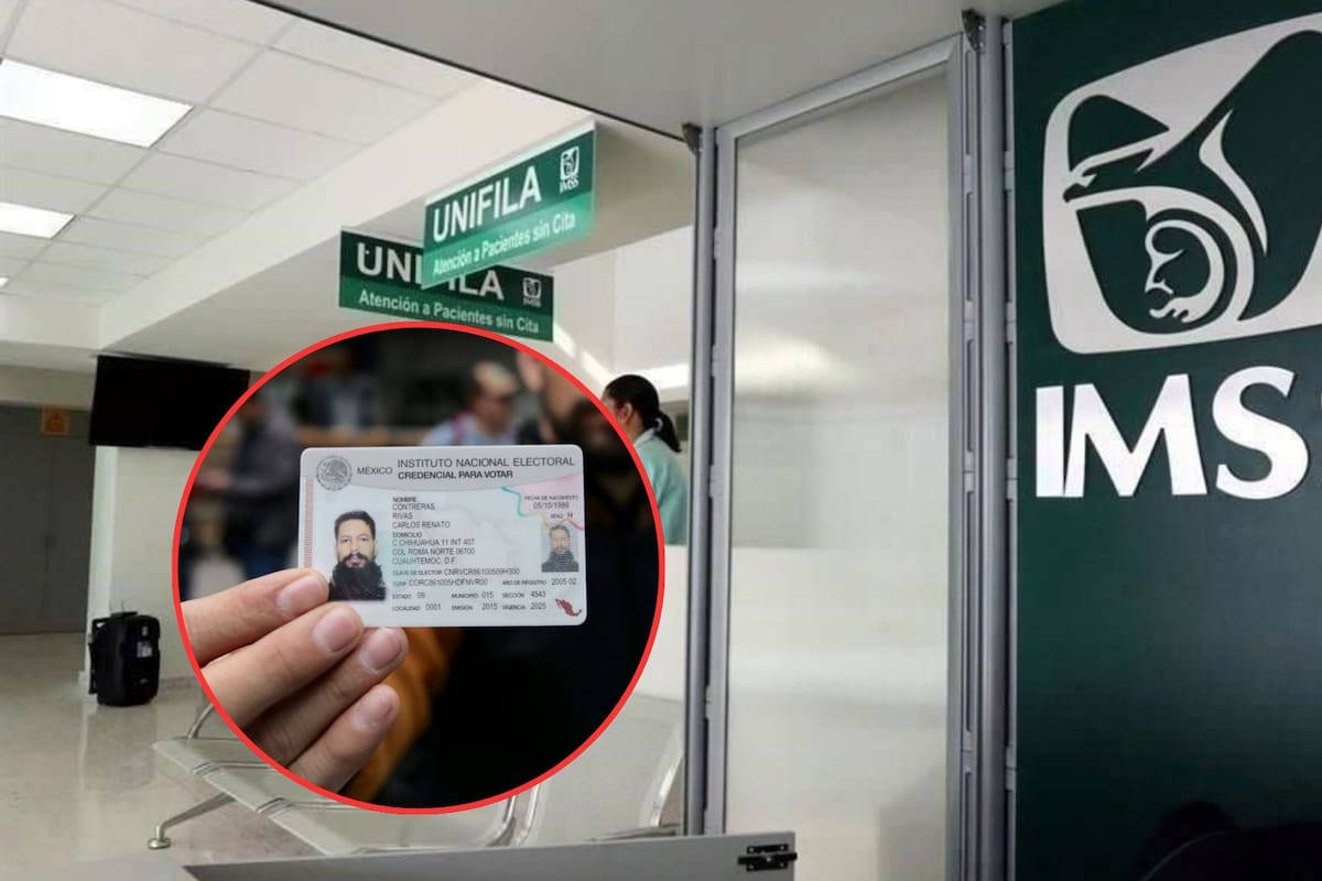 Trámites del IMSS que aún puedes realizar con INE y CURP tradicional ante la llegada del nuevo registro biométrico obligatorio