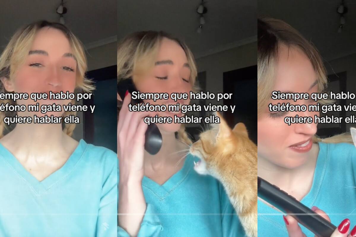 VIRAL: joven muestra cómo a su gata le encanta “hablar” por teléfono