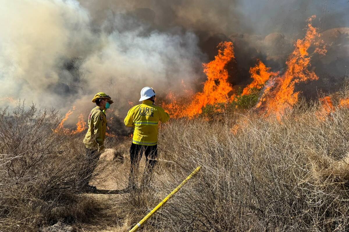 Atiende Gobierno de BC incendios forestales