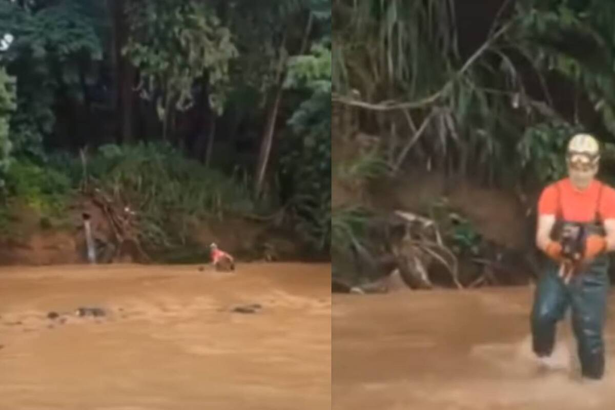 Video: Bombero salva a un perro antes de ser arrastrado por la corriente en Brasil