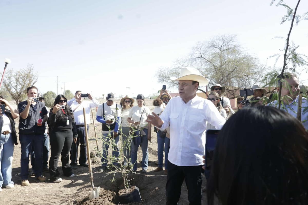 Arranca Gobernador reforestación de La Sauceda y proyecta legado ambiental