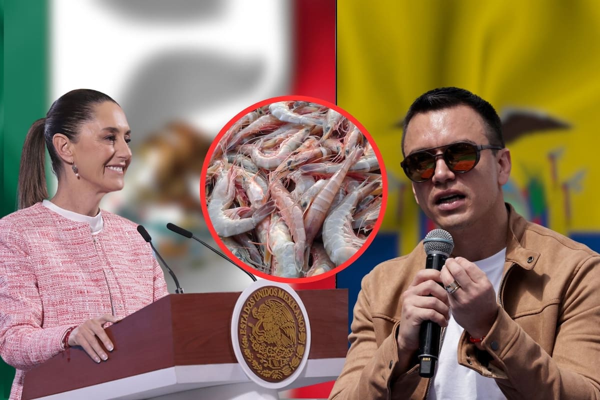 Camaroneros de Ecuador responden a Claudia Sheinbaum: “El camarón ecuatoriano es aclamado por chefs y expertos”