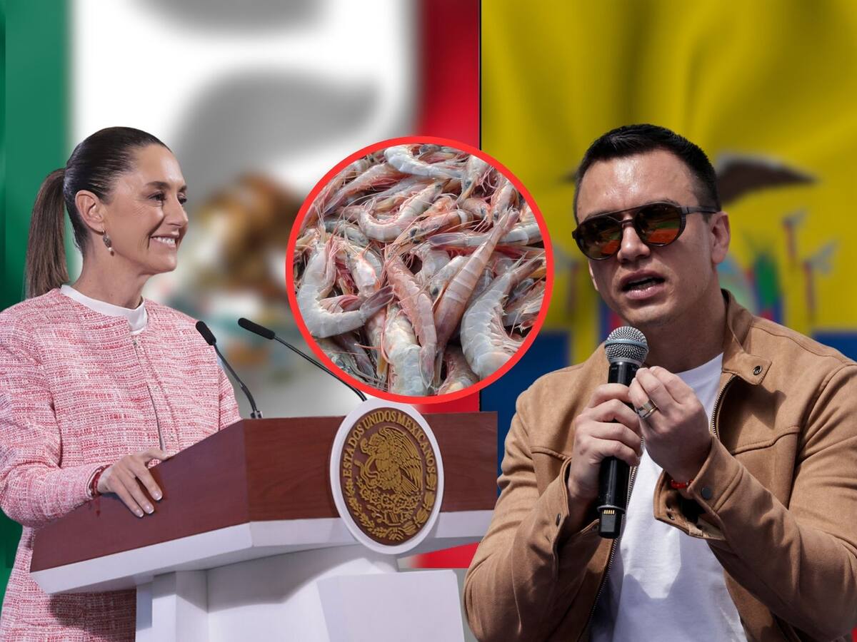 La respuesta de la industria ecuatoriana a la presidenta Claudia Sheinbaum se popularizó en redes sociales. | Crédito: Presidencia de México/REUTERS/Canva