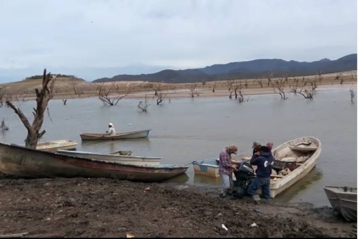 Buscan pescadores mayos formar tres cooperativas