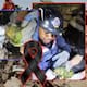 Muere Panchito, el loro que estuvo bajo los escombros en Venezuela y fue rescatado con vida nueve días luego que lo localizaran los bomberos